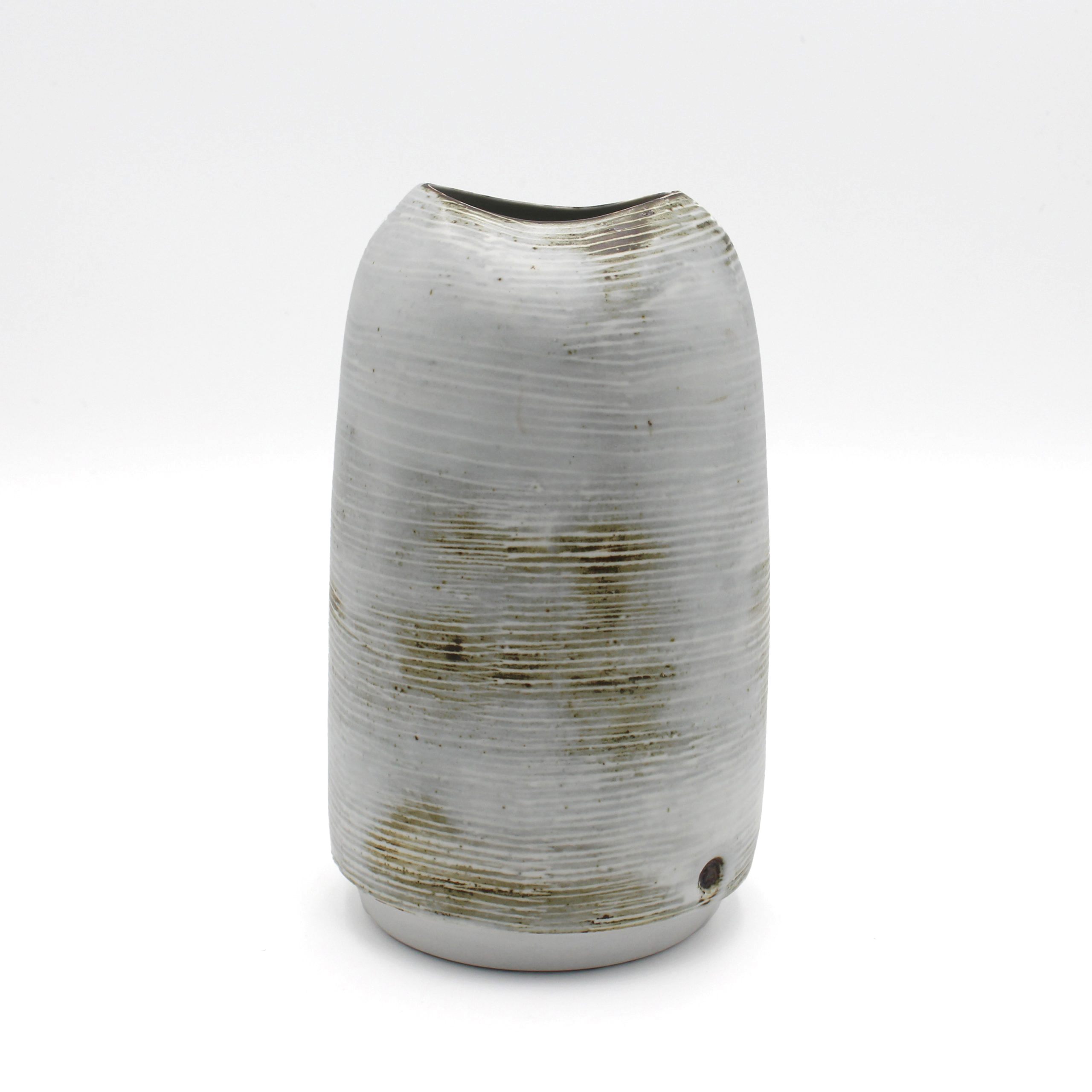 Small Ogives Glacier by Tanya Gomez