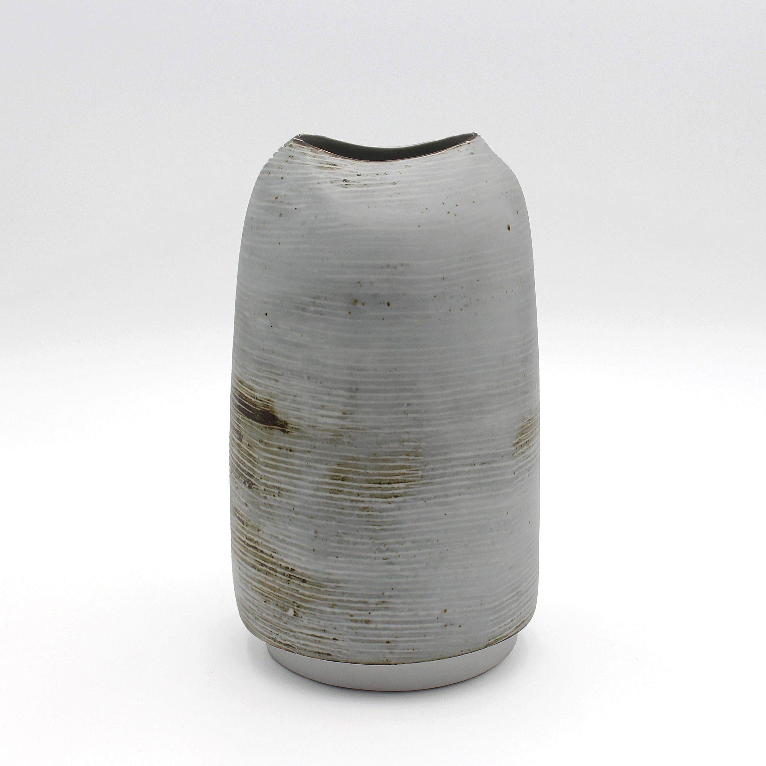 Small Ogives Glacier by Tanya Gomez_Back